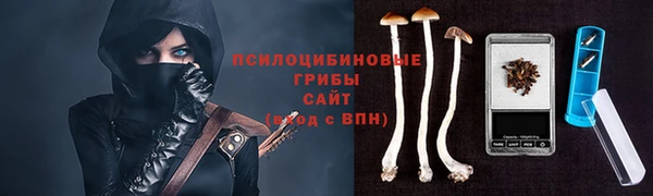 метадон Каменка